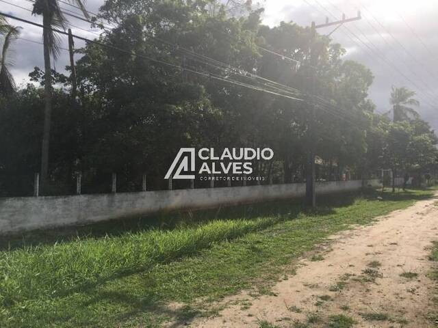 #6070 - COMERCIAL para Compra em Feira de Santana - BA