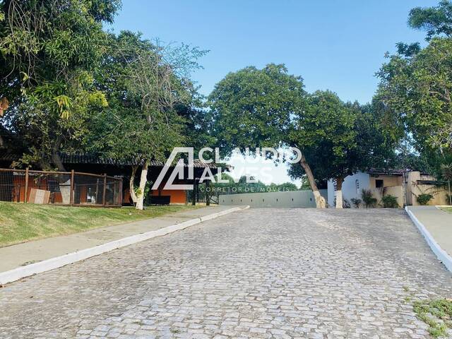 CHÁCARA E SÍTIO para Compra em Feira de Santana - 4