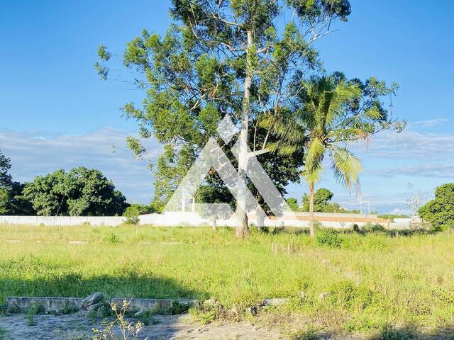 TERRENO - LOTE - ÁREA para Compra em Feira de Santana - 3