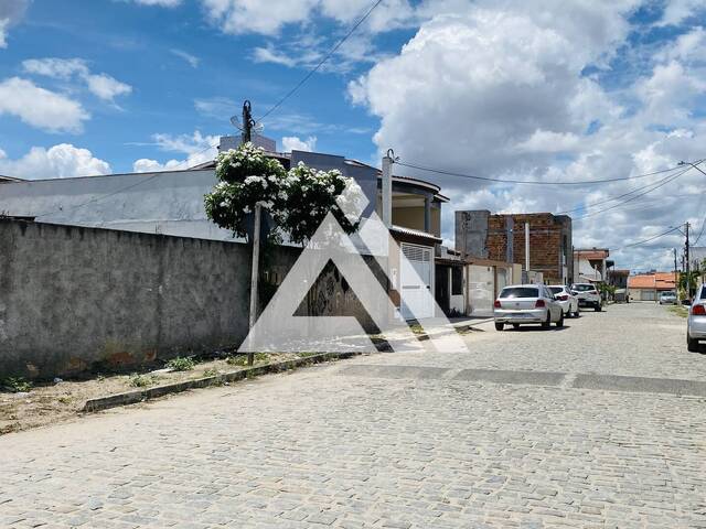 Compra em Papagaio - Feira de Santana