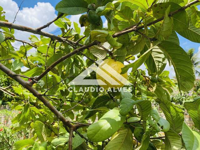 TERRENO - LOTE - ÁREA para Compra em Feira de Santana - 5