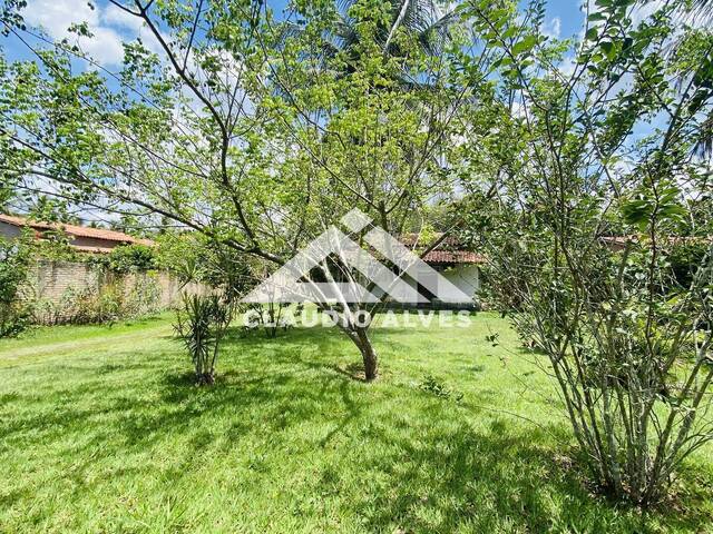 TERRENO - LOTE - ÁREA para Compra em Feira de Santana - 2