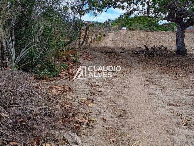 #6076 - TERRENO para Compra em Santa Bárbara - BA