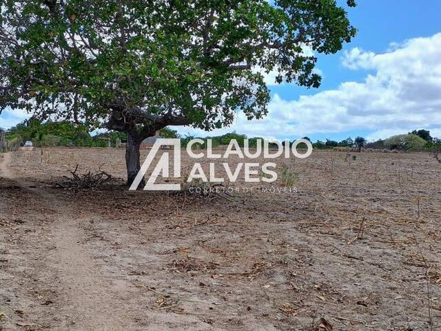 TERRENO para Compra em Santa Bárbara - 4