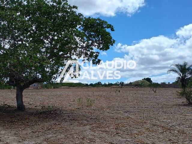 TERRENO para Compra em Santa Bárbara - 5