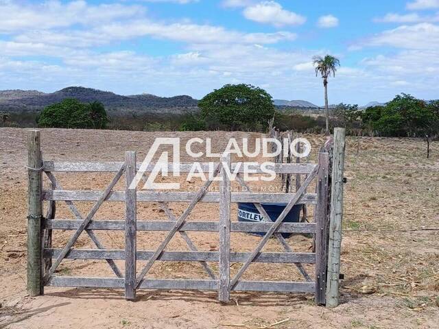 #6076 - TERRENO para Compra em Santa Bárbara - BA