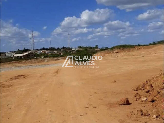 TERRENO para Compra em Santa Bárbara - 5