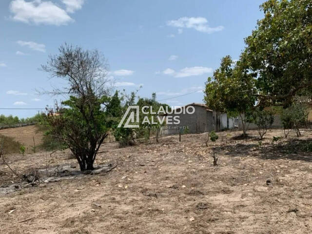 CHÁCARA E SÍTIO para Compra em Coração de Maria - 4