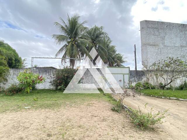 TERRENO - LOTE - ÁREA para Compra em Feira de Santana - 3