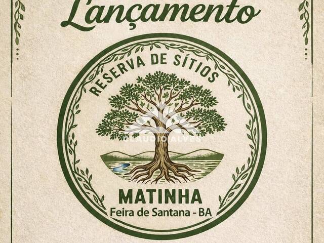 #7317 - TERRENO - LOTE - ÁREA para Compra em Feira de Santana - BA