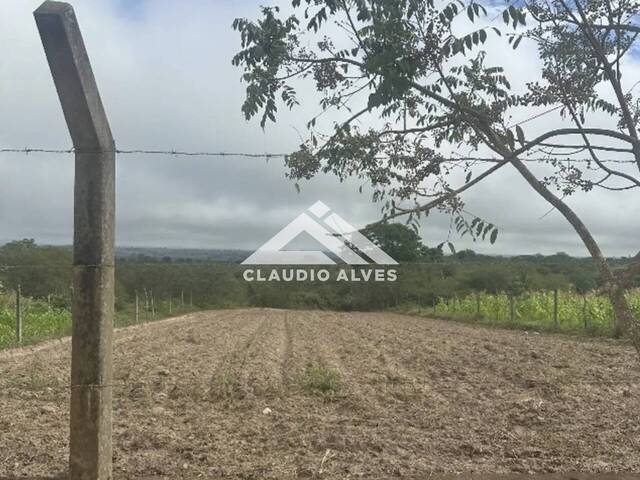 CHÁCARA - SÍTIO para Compra em Santanópolis - 4