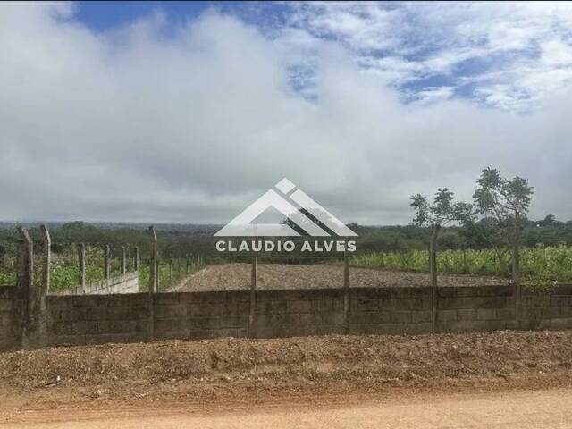 #7348 - CHÁCARA - SÍTIO para Compra em Santanópolis - BA