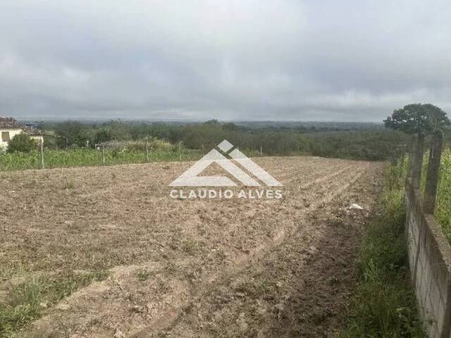 CHÁCARA - SÍTIO para Compra em Santanópolis - 5