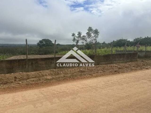 #7348 - CHÁCARA - SÍTIO para Compra em Santanópolis - BA