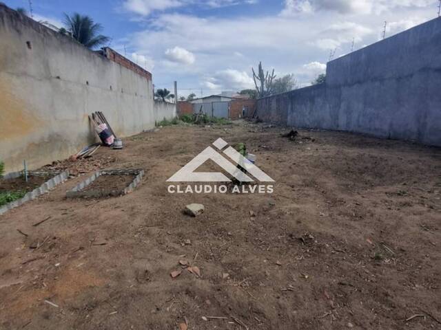 TERRENO - LOTE - ÁREA para Compra em Feira de Santana - 4