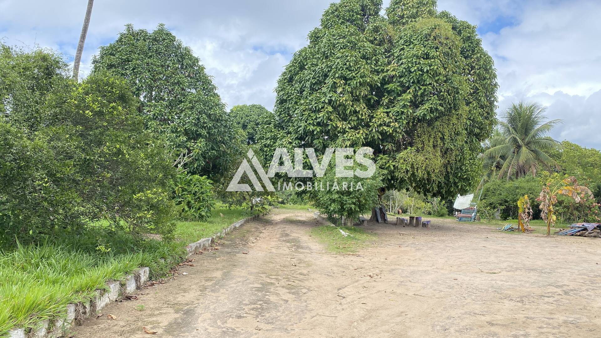 Terreno à venda, 15000m² - Foto 6