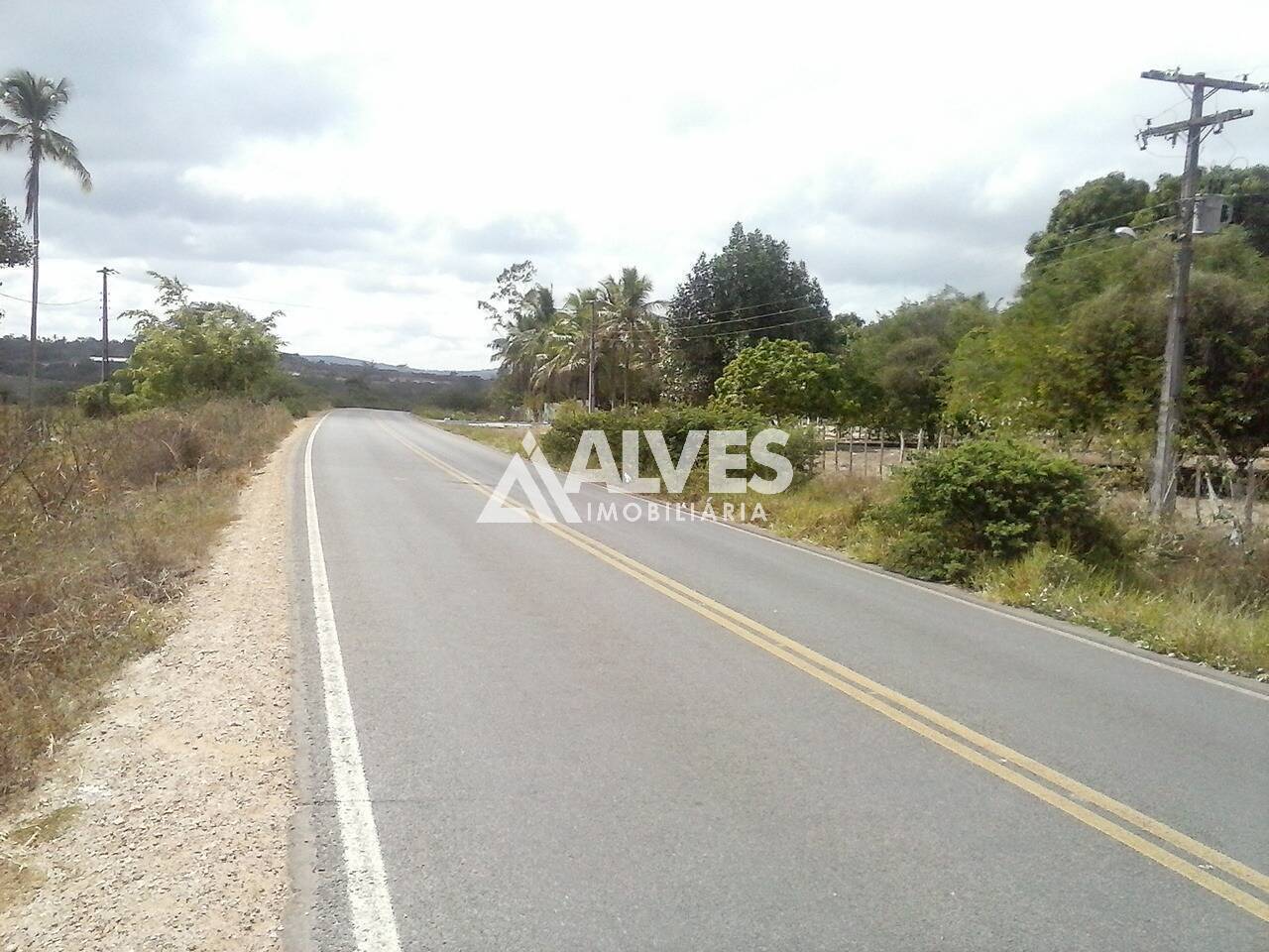 TERRENO COM 10.000 M2 NAS MARGENS BA-503