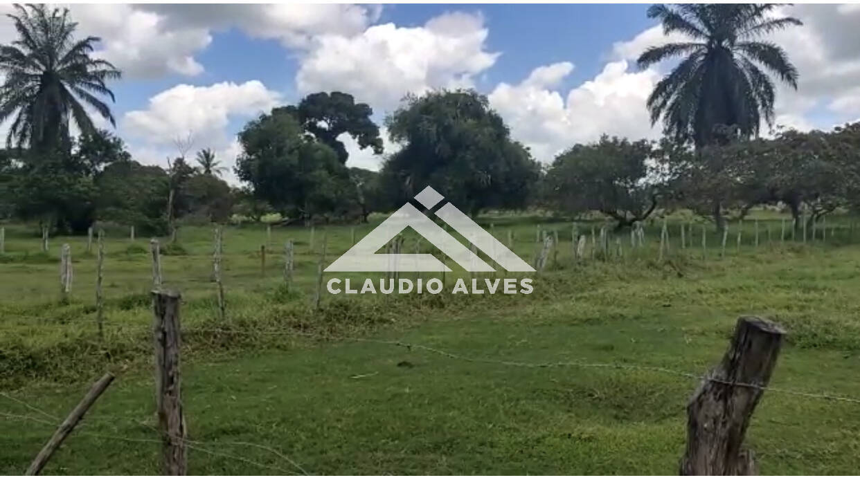 FAZENDA COM 344 TAREFAS