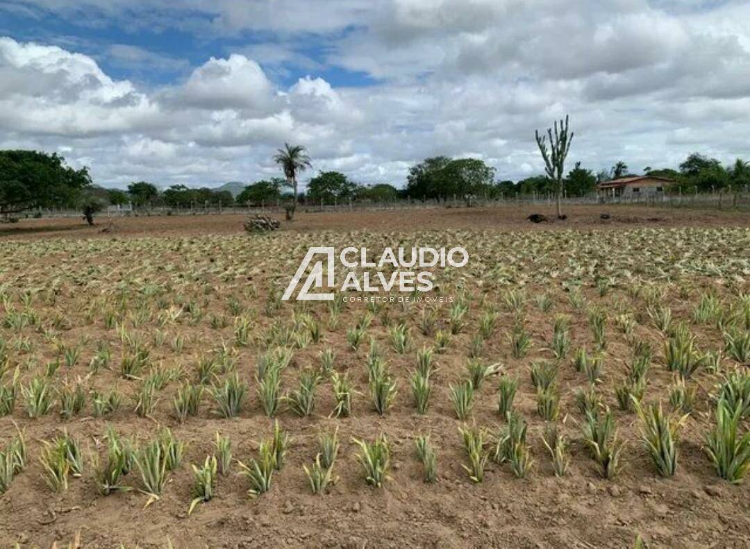 Chácara à venda com 2 quartos - Foto 2