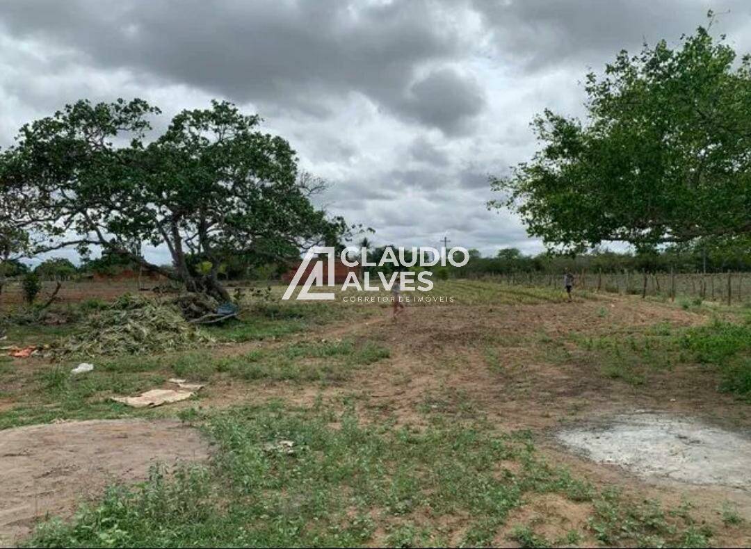 Chácara à venda com 2 quartos - Foto 3