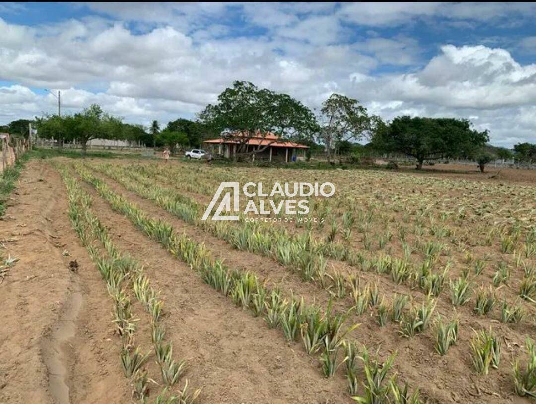 Chácara à venda com 2 quartos - Foto 4